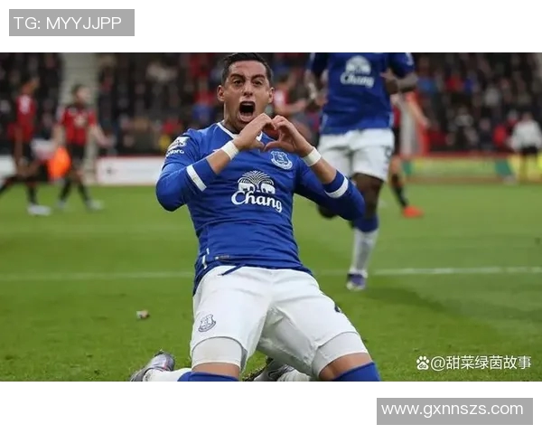 埃弗顿与狼队历史交锋比分回顾及精彩瞬间分析